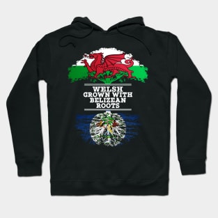 Welsh Grown With Belizean Roots - Gift for Belizean With Roots From Belize Hoodie